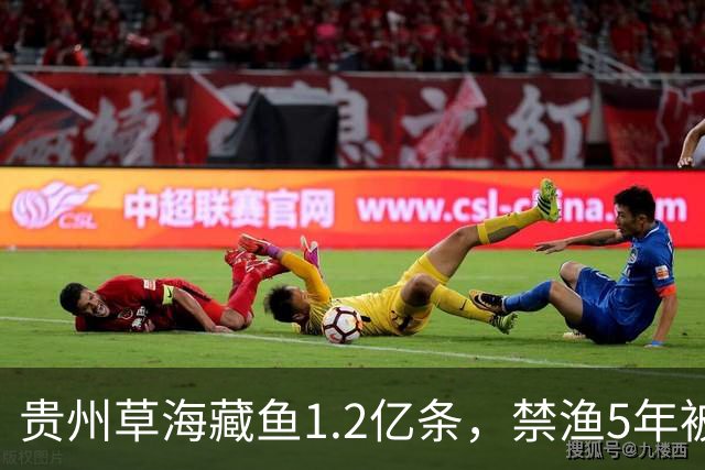贵州草海藏鱼1.2亿条，禁渔5年被啃成秃海！长江能重蹈覆辙吗？